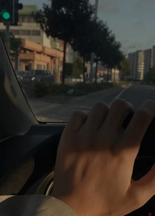 Quarrel in the car | Leila thumbnail
