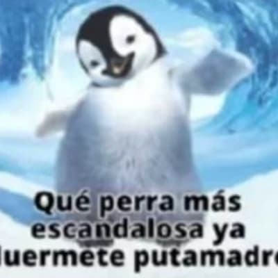 The most random penguin in the world🤑 thumbnail