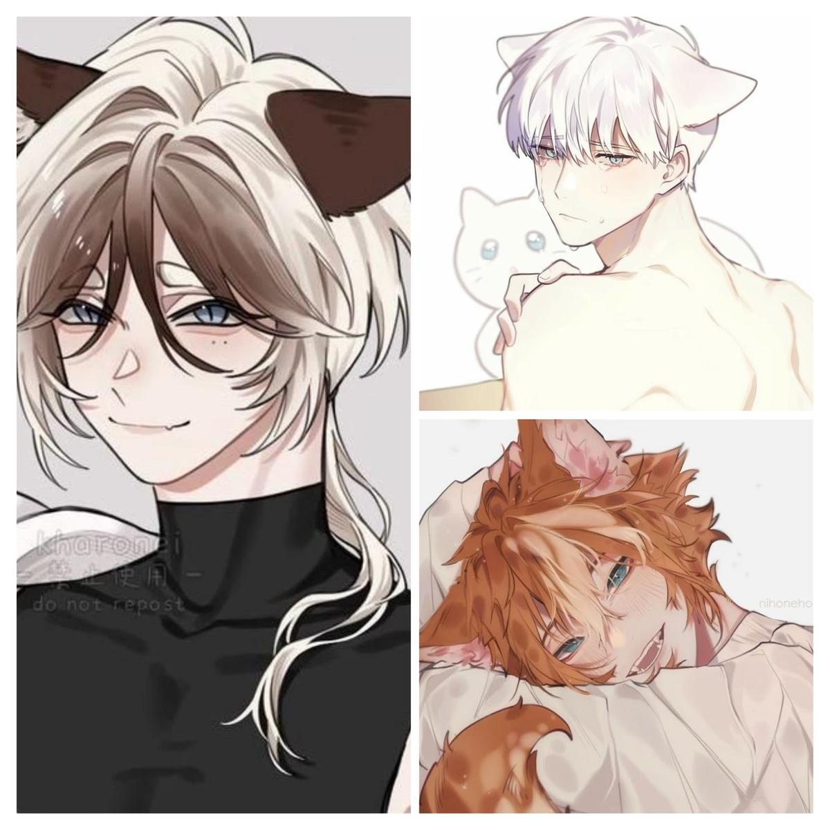 Kittens!!! thumbnail