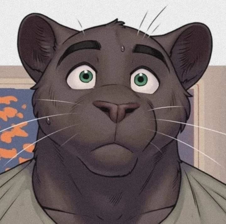 Jackson thumbnail