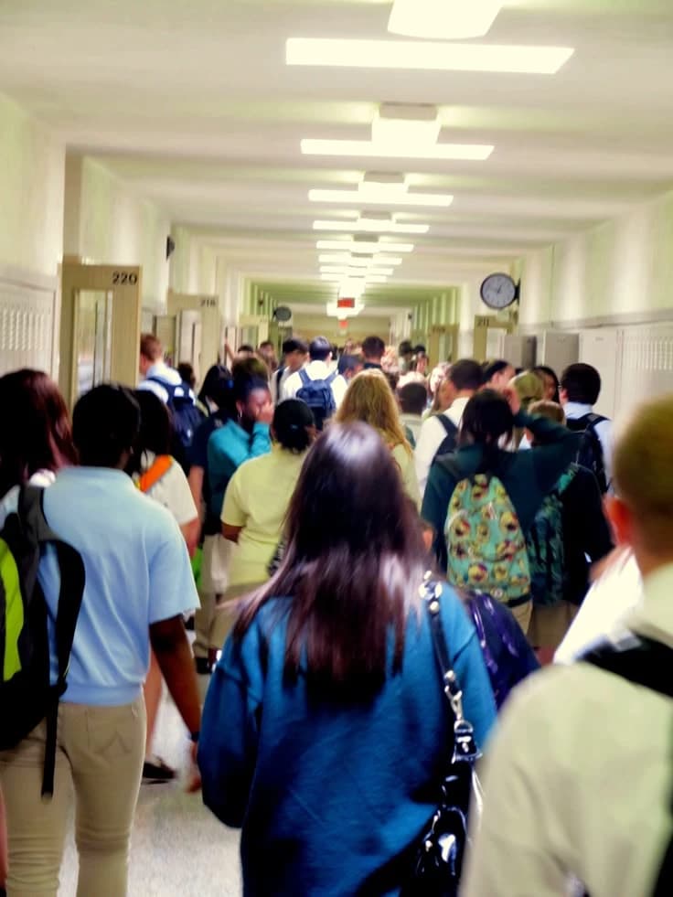 School thumbnail