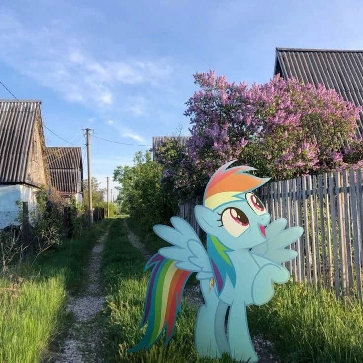 Rainbow Dash in the real countryside 🐐🐄 thumbnail