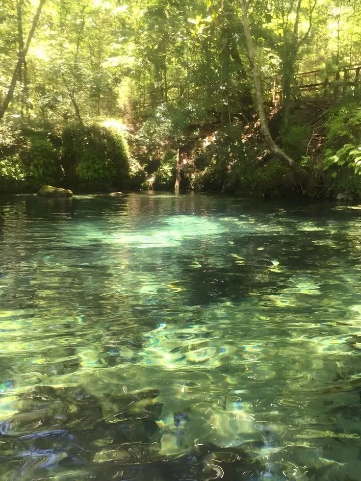 Expedition thumbnail