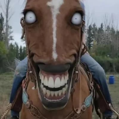 Happy Horse thumbnail