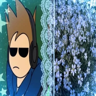 Tom- Eddsworld thumbnail