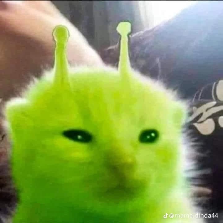 Alien Cat thumbnail
