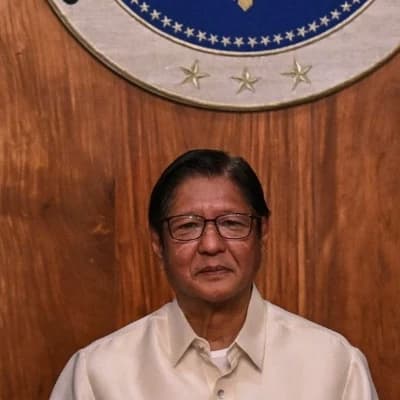Ferdinand Marcos jr  thumbnail