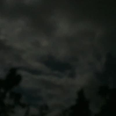School of wolves thumbnail