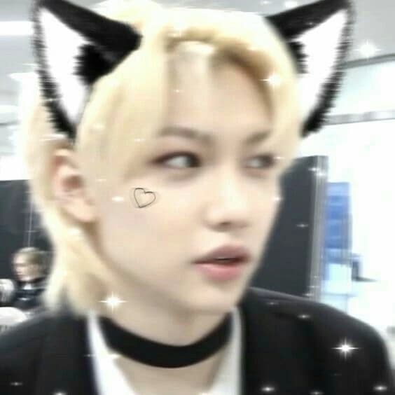 Felix Lee | cat AU thumbnail