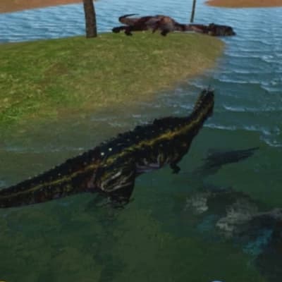 HERBIVORES VS CARNIVORES thumbnail