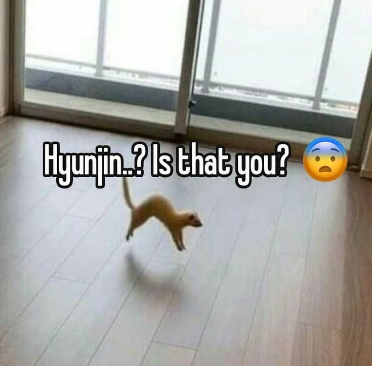 Hyunjin thumbnail
