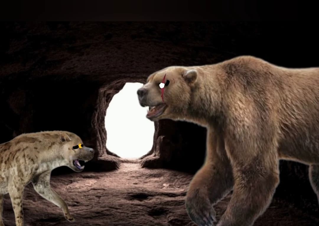 Crate x bear thumbnail