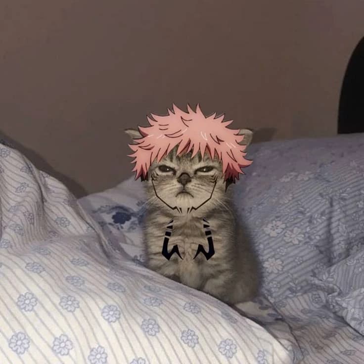 (gato sukuna ) thumbnail