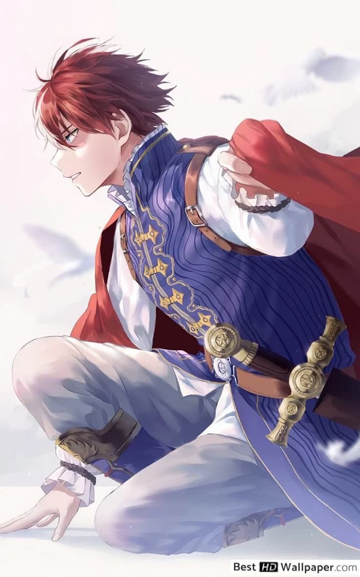 Shoto Todoroki  thumbnail
