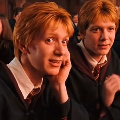 The Weasley twins thumbnail