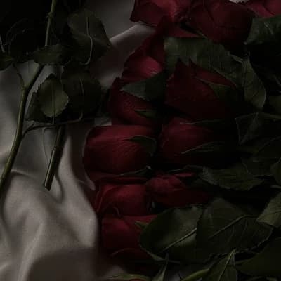 Família Beom, tears on withered flowers 🖤 thumbnail