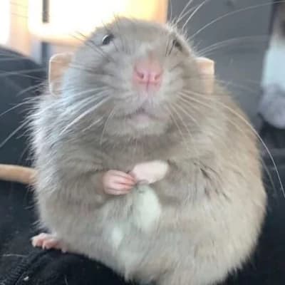 Mika thumbnail