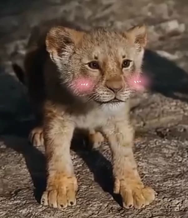 Mufasa thumbnail
