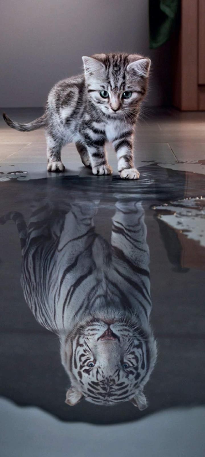 Cat goddess thumbnail