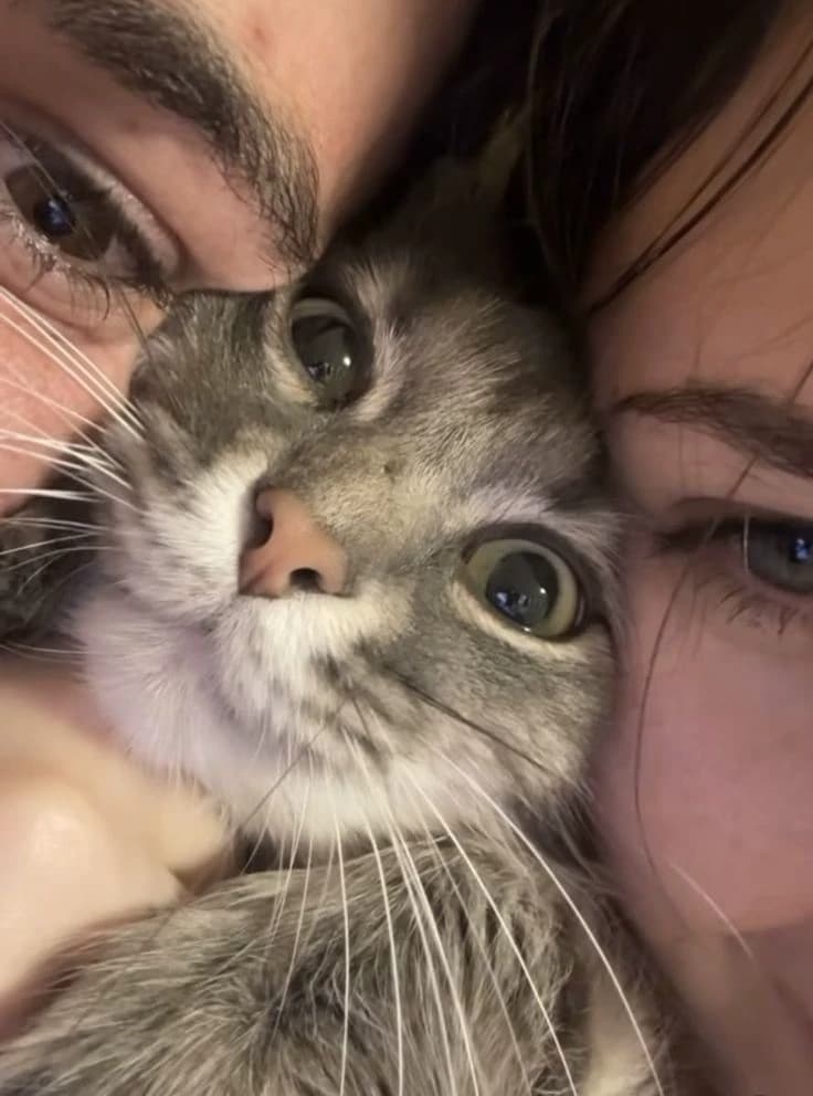 Cat parents with you ex thumbnail