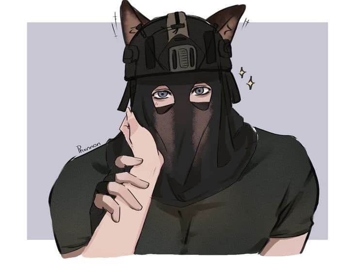 Konig-cat hybrid thumbnail