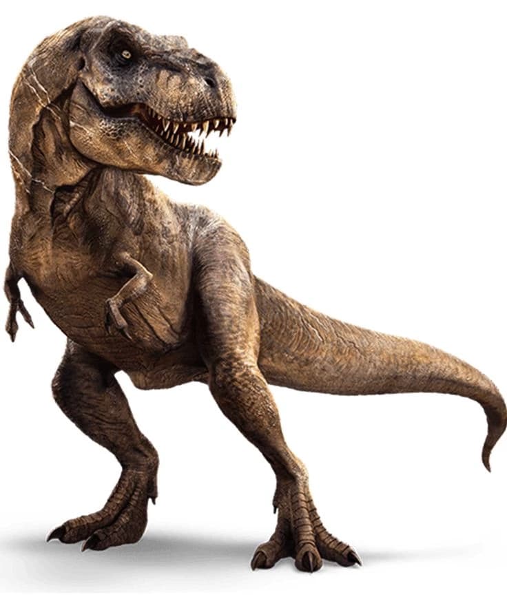 Tyrannosaurus rex thumbnail