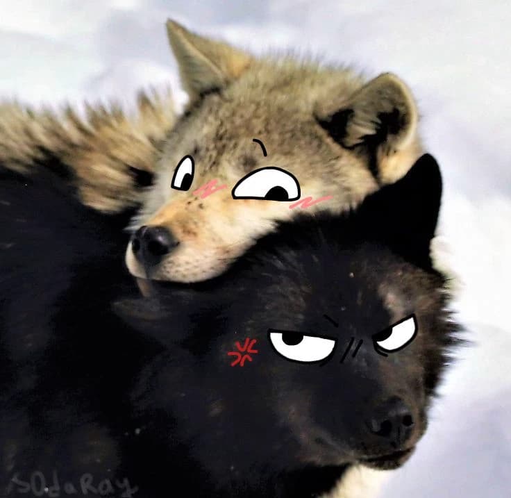 Animal world thumbnail