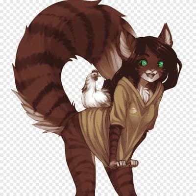 Furra thumbnail