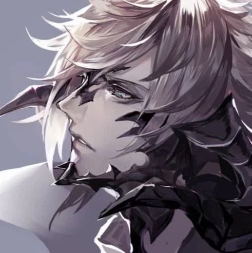 |- Nylo thumbnail