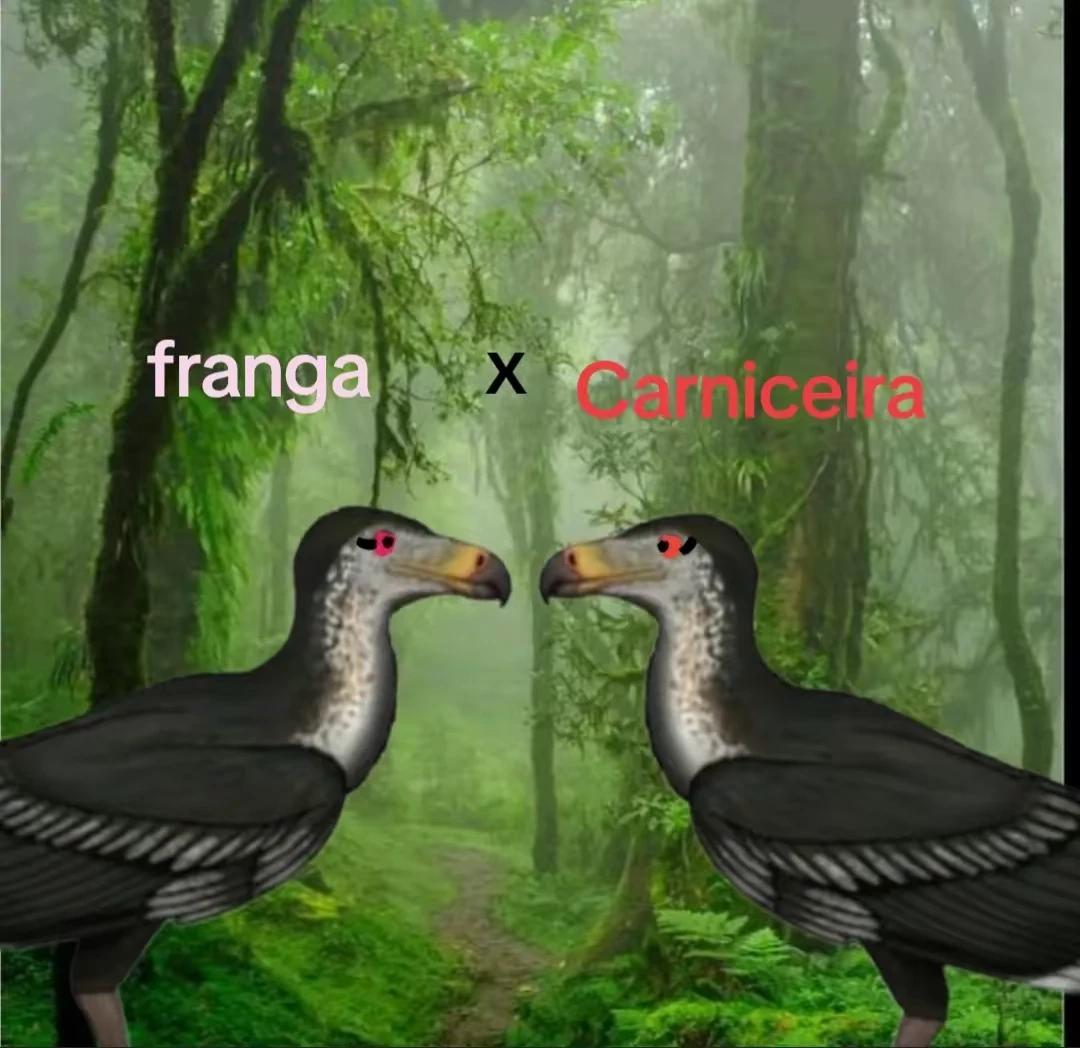 Franga X Costela thumbnail