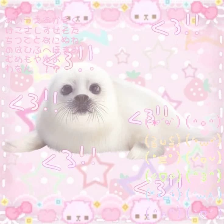 Baby seal thumbnail