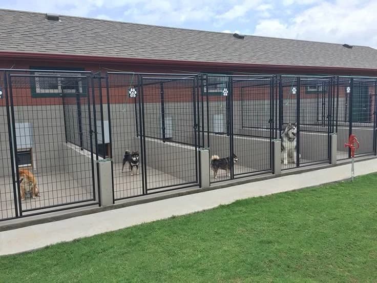 Kennel thumbnail