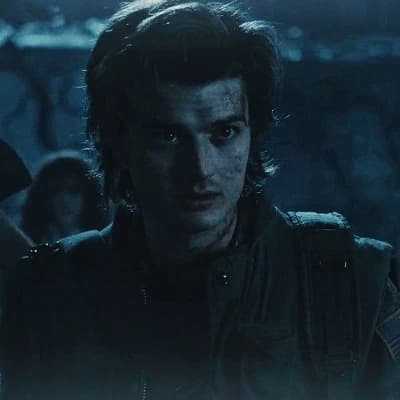 Steve Harrington thumbnail