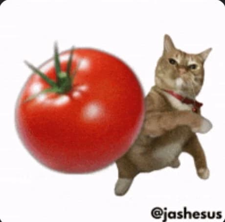 One of the cats, what a blessing thumbnail