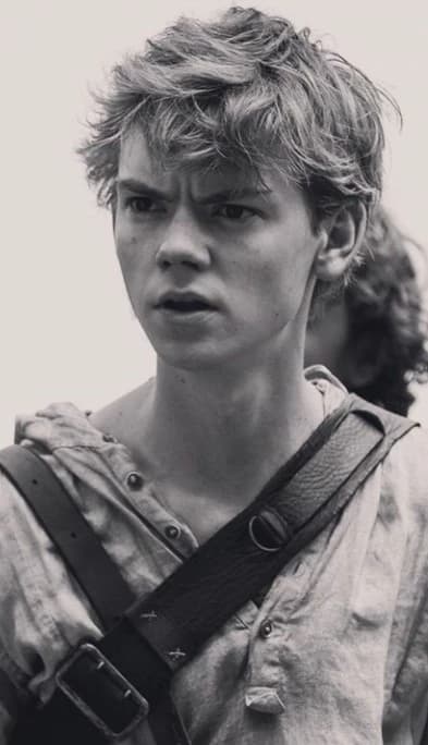 Newt thumbnail