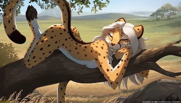 Sleeping Cheetah thumbnail