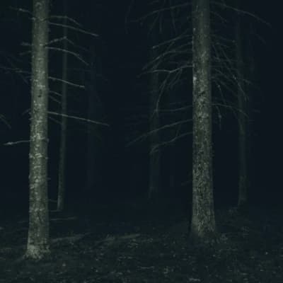The awakening. thumbnail
