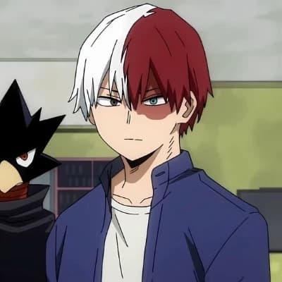 Shoto Todoroki thumbnail