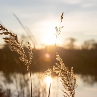 Perfect sunset thumbnail