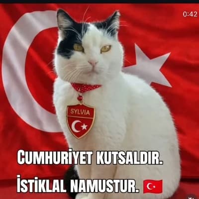 President Tekir thumbnail