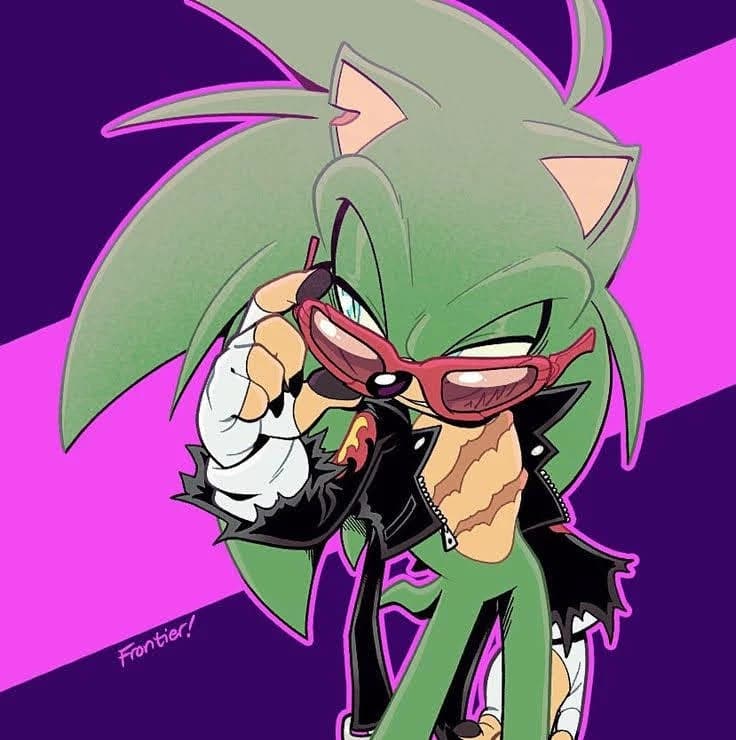 Scourge the Hedgehog thumbnail
