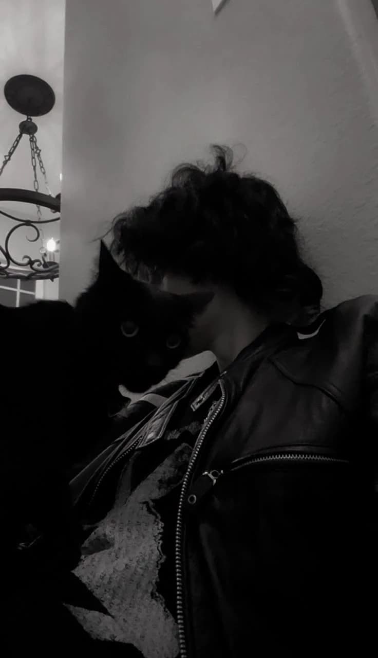 |Black Cat| thumbnail