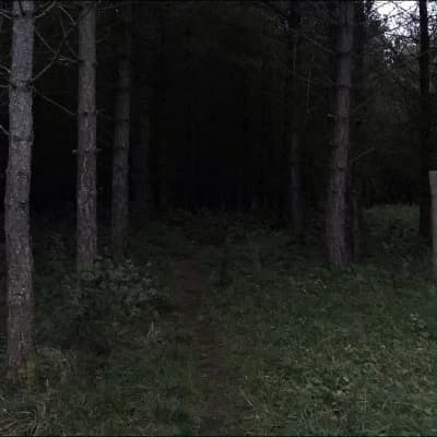 The Grave Howler thumbnail