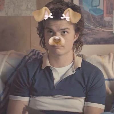 Steve Harrington thumbnail