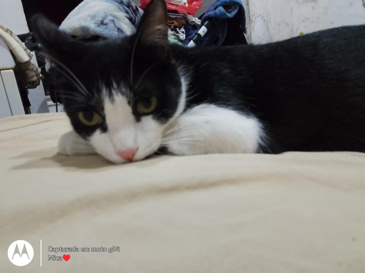 Spots thumbnail