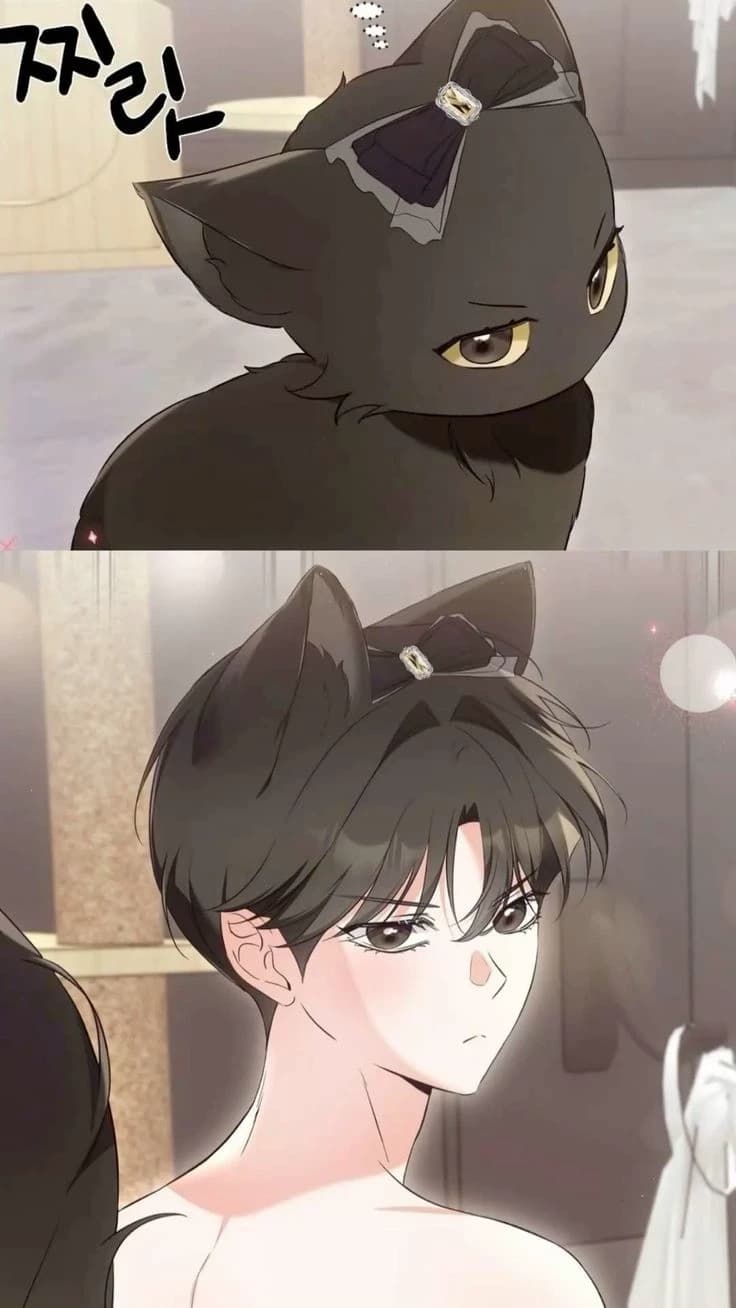 Kuro  thumbnail