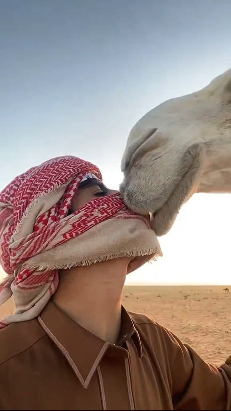 Suleiman thumbnail
