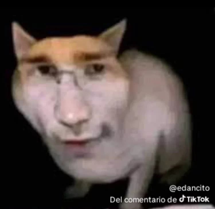 Cat with Glasses thumbnail