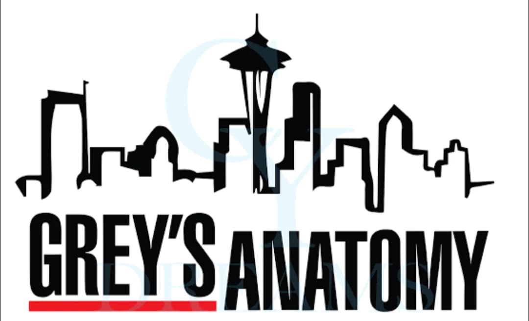 Greys anatomy season one thumbnail