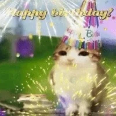  Birthday Meowl thumbnail